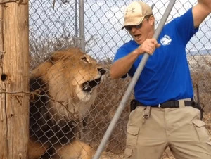 Damn Nature You Scary | Funny Scary Animal Encounters