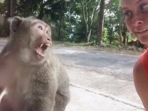 Damn Nature You Crazy | Insane Animal Fails